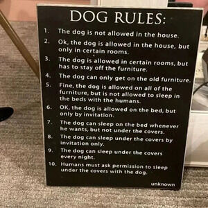 EVERY DOG OWNERS HOUSE RULES BLACK WOOD WALL PLAQUE BY COLLINS PAINTING 9x7